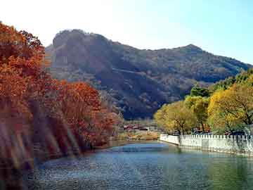 新澳天天开奖资料大全旅游团，邓州未来科技